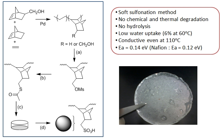 polyolefine fuel cell