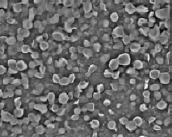 polyolefin latex TEM PE latex